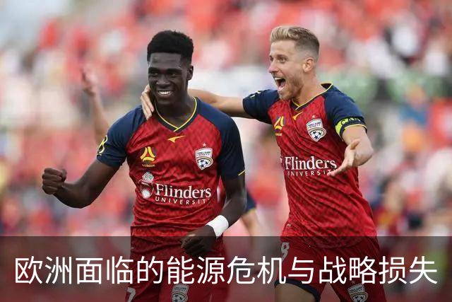 欧洲面临的能源危机与战略损失